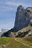 04_Corno Branchino